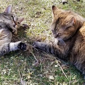 Meet your Posher, Jill